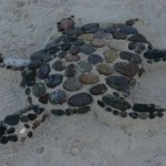 stones turtle.jpg